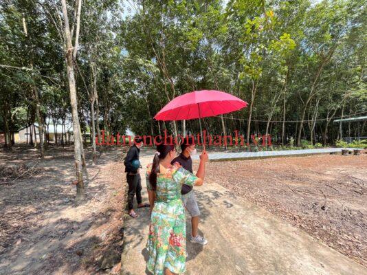 Chủ Kẹt Tiền Bán Lô Đất Phường Minh Thành Chỉ 590 Triệu 191m2 Sổ Sẵn | Trọng Thơ Becamex